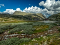 Rondane Nasjonalpark